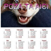 Calendar personalizat cu o poza